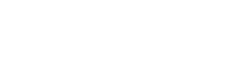 bulkvision